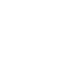 サービス開始